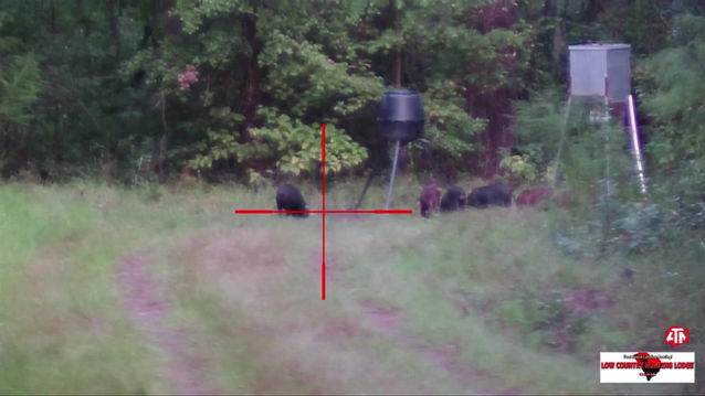 LCHL Hog Hunt - October 2018